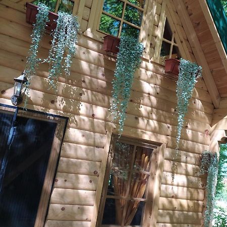 Вілла Brvnara Fairy Tale Цетинє Екстер'єр фото